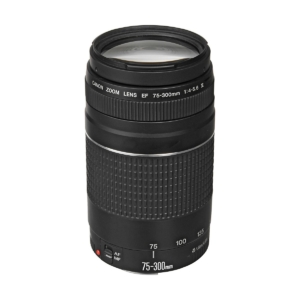 Buy Canon Ef 70 300mm F 4 5 6 Is Ii Usm Lens 0571c005 Dakauf