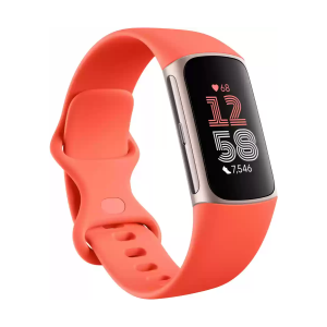 Fitbit Charge 6 Gold (Orange Silicone Armband)