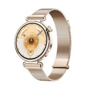 Huawei Watch GT 6 41mm Gold (Golden Strap)