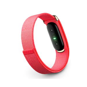 Watch Google Fitbit Air Berry